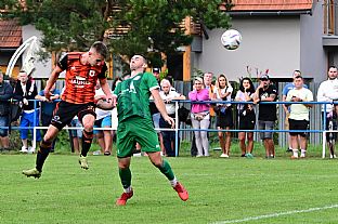 Alexander Seleck |  autor: Rudolf Makurica