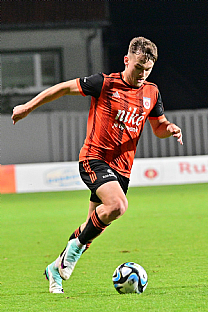 Viktor radnk |  autor: Rudolf Makurica