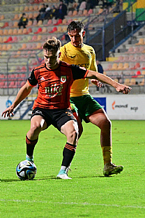 Viktor radnk |  autor: Rudolf Makurica