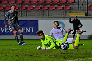 Alexander Seleck |  autor: Rudolf Makurica