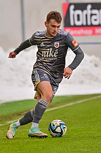 Viktor radnk |  autor: Rudolf Makurica