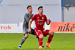 Alexander Seleck |  autor: Rudolf Makurica