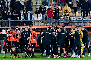 Rados z postupu |  autor: Rudolf Makurica