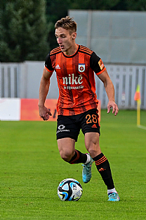 Alexander Seleck |  autor: Rudolf Makurica