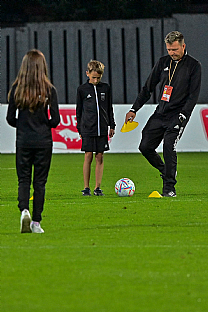 Sa |  autor: Rudolf Makurica