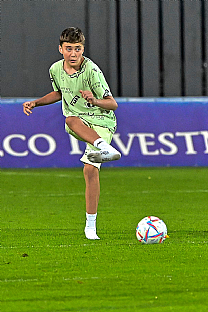 Sa |  autor: Rudolf Makurica