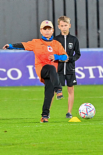 Sa |  autor: Rudolf Makurica