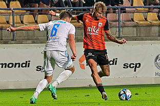 Kevin Wimmer a Jan Hladk |  autor: Rudolf Makurica