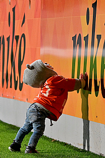 Mal fanik |  autor: Rudolf Makurica