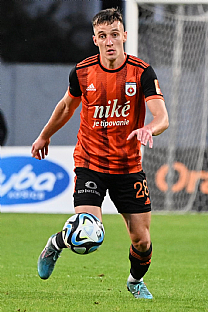 Alexander Seleck |  autor: Rudolf Makurica