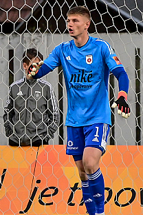 Dominik apaj |  autor: Rudolf Makurica