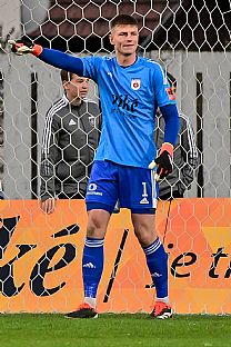 Dominik apaj |  autor: Rudolf Makurica