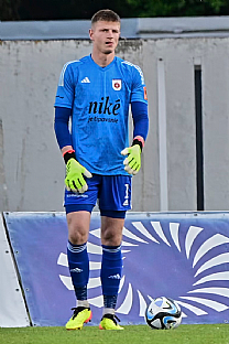 Dominik apaj |  autor: Rudolf Makurica