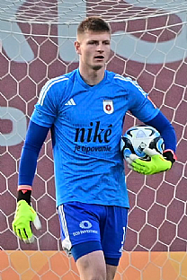 Dominik apaj |  autor: Rudolf Makurica