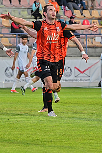 tefan Gerec |  autor: Rudolf Makurica