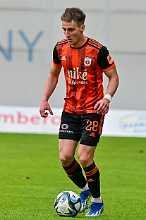 Alexander Seleck |  autor: Rudolf Makurica