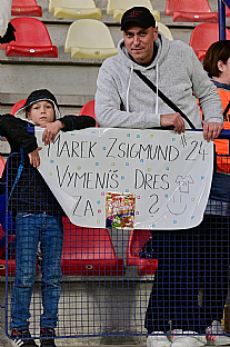 Fanikovia |  autor: Rudolf Makurica