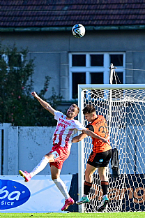 Viktor radnk |  autor: Rudolf Makurica