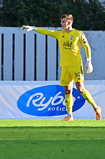 Tom Frhwald |  autor: Rudolf Makurica