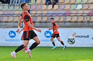 Adam Tun a Viktor radnk |  autor: Rudolf Makurica