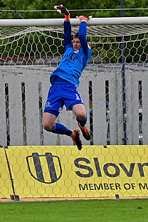 Dominik apaj |  autor: Rudolf Makurica