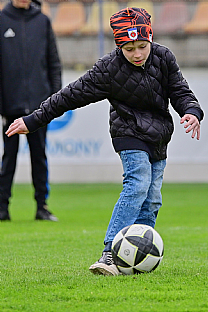 Polasov sa |  autor: Rudolf Makurica