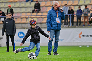 Polasov sa |  autor: Rudolf Makurica