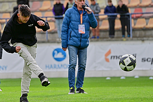 Polasov sa |  autor: Rudolf Makurica