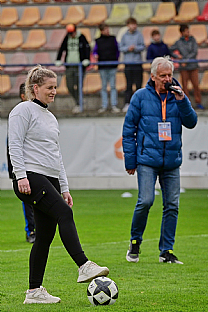 Polasov sa |  autor: Rudolf Makurica