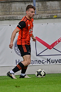 Viktor radnk |  autor: Rudolf Makurica