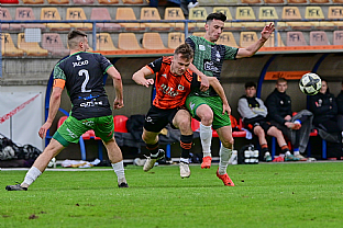 Viktor radnk |  autor: Rudolf Makurica