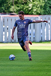 Mrio Mrva |  autor: Rudolf Makurica