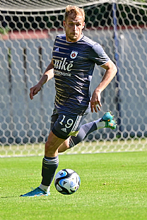 Luk Fabi |  autor: Rudolf Makurica