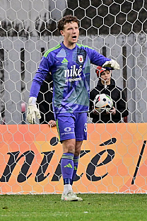 Hugo Jan Bakovsk |  autor: Rudolf Makurica