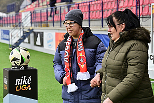 Nik liga pomha |  autor: Rudolf Makurica