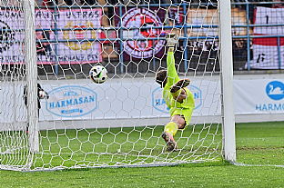 Gl Jana Hladka |  autor: Rudolf Makurica