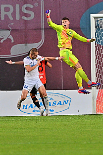 Dominik apaj |  autor: Rudolf Makurica