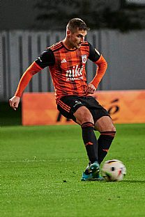 Samuel Lavrin��k |  autor: Rudolf Ma�kurica