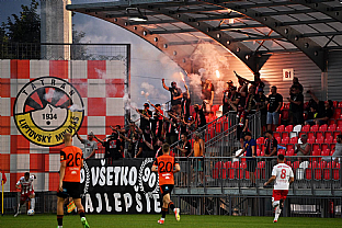 Domci fanikovia |  autor: Rudolf Makurica