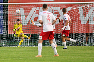 Dominik apaj |  autor: Rudolf Makurica