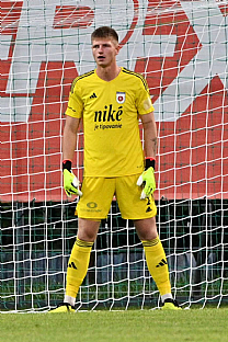 Dominik apaj |  autor: Rudolf Makurica