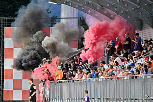 Domci fanikovia |  autor: Rudolf Makurica