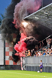 Domci fanikovia |  autor: Rudolf Makurica