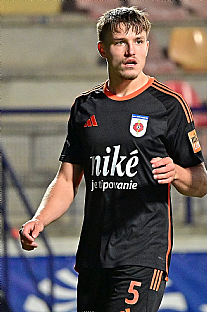 Tom Krl |  autor: Rudolf Makurica