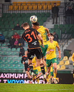 Luk Fila |  autor: Matej Sagan