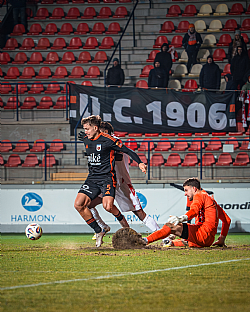 Tom� Kr�l |  autor: Matej Sagan