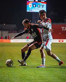 Timotej M�dry |  autor: Matej Sagan