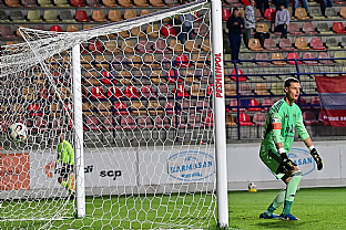 Gl |  autor: Rudolf Makurica