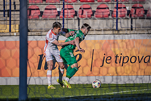 Alexander Seleck� |  autor: Matej Sagan