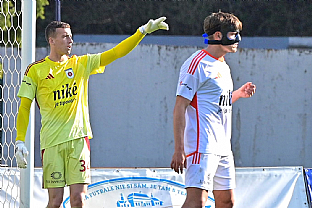 D�vid H�ska a Tom� Kr�l |  autor: Rudolf Ma�kurica